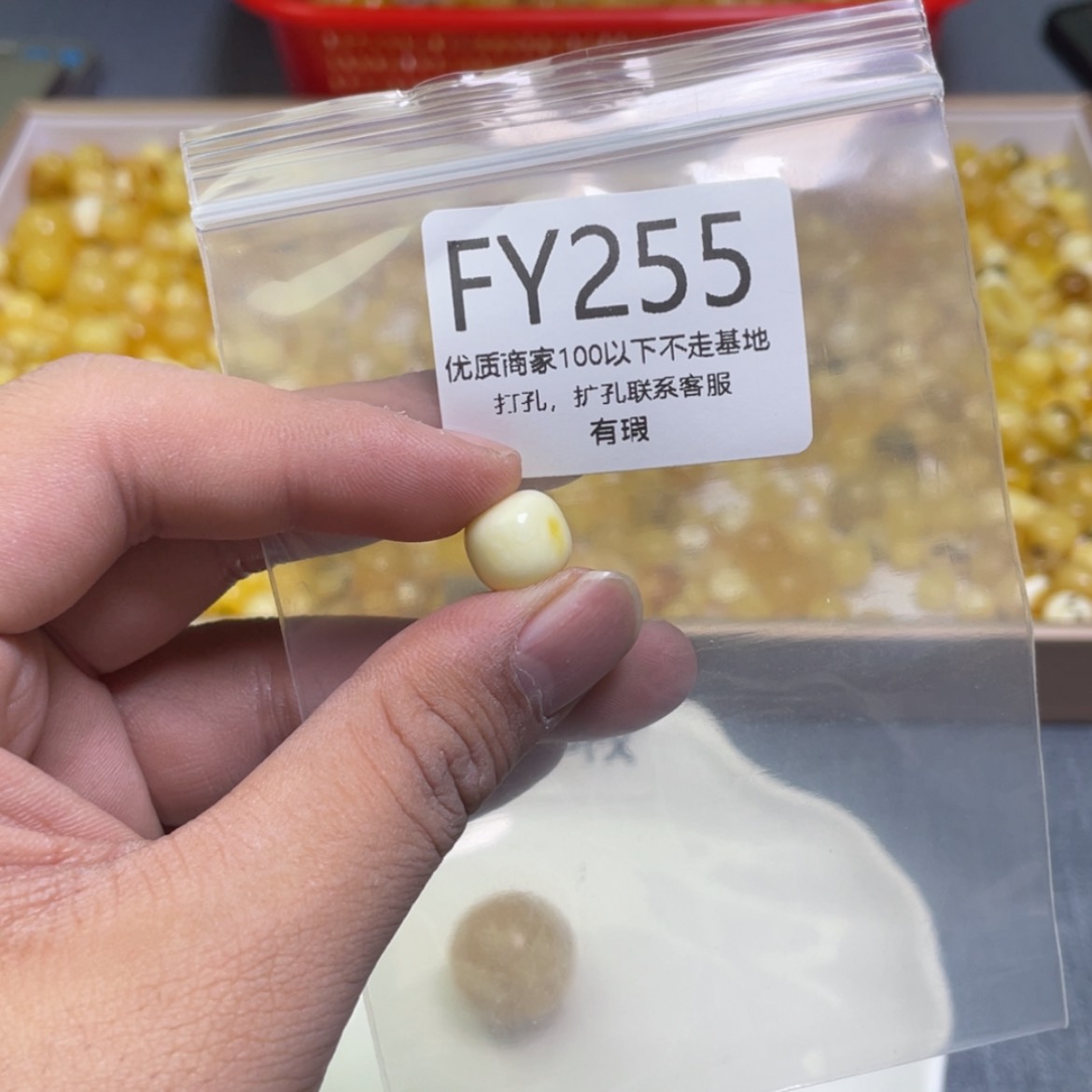 【闪购商品】琥珀珠宝奇石未镶嵌