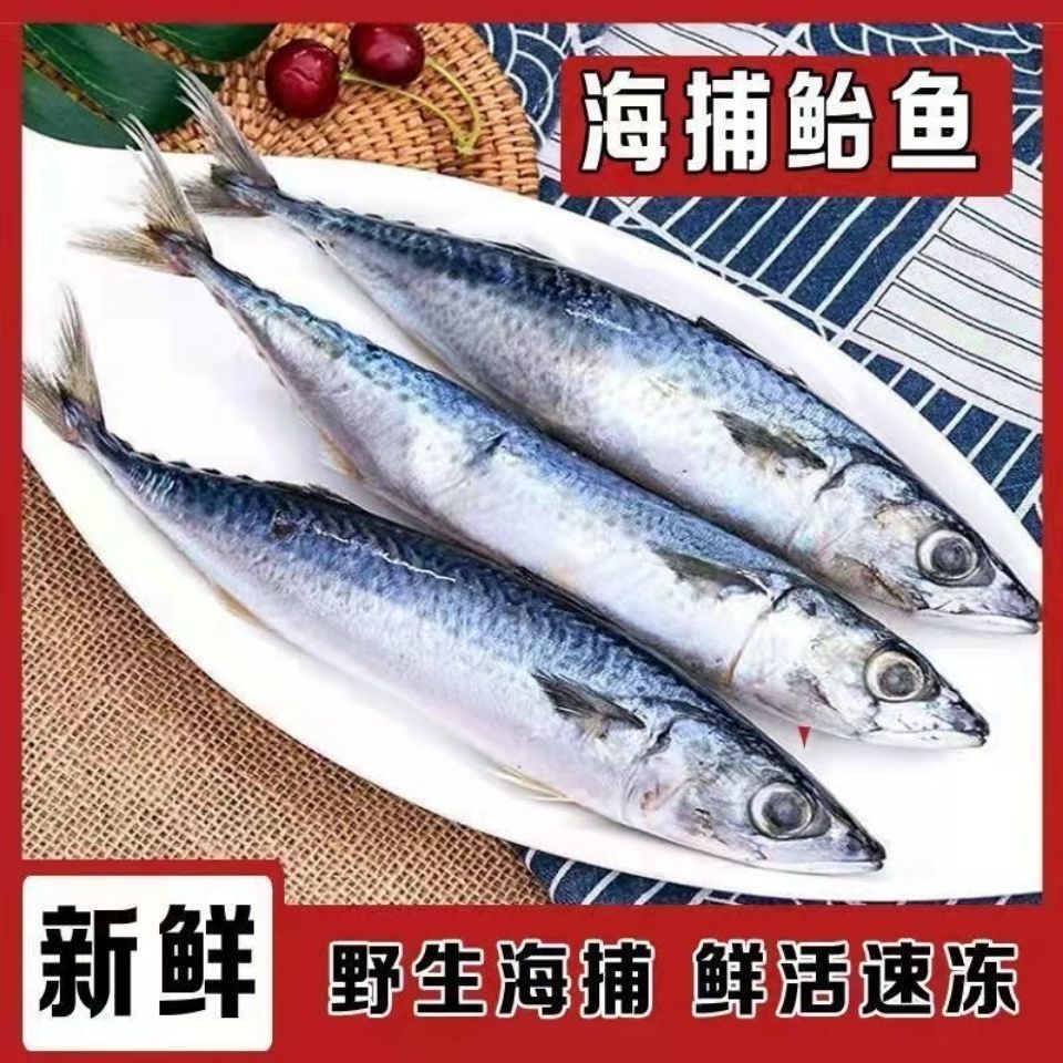 小鲐鲅鱼净重5斤（介意脱刺勿拍）
