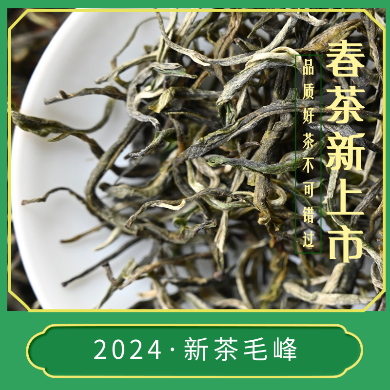 2024早春绿茶滇绿毛峰50克