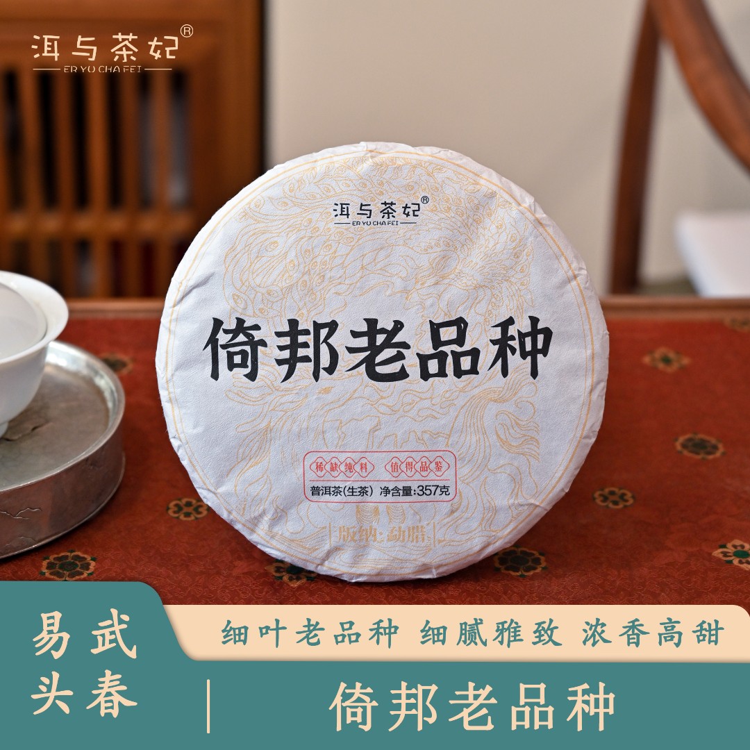【春茶现货】2024年普洱茶倚邦老品种生茶357克分享包邮