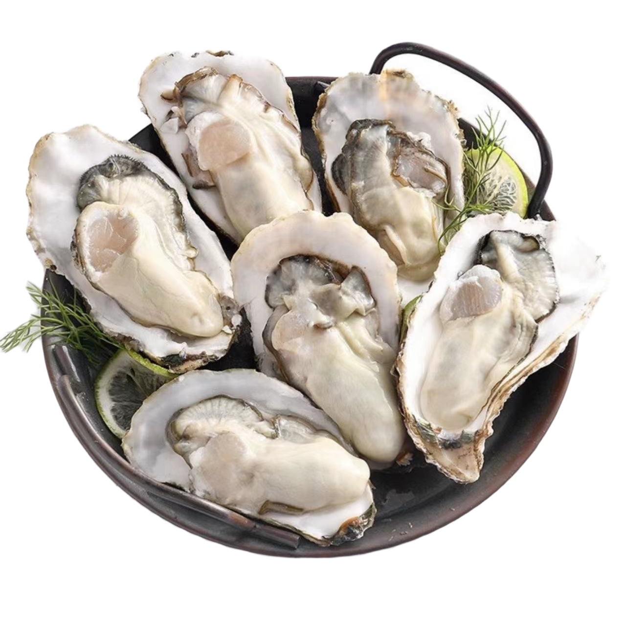 鲜活乳山小生蚝 6只装 (约150g/只)