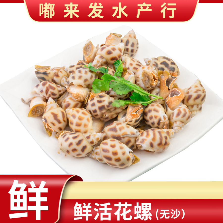 鲜活（无沙） 花螺 500g/份