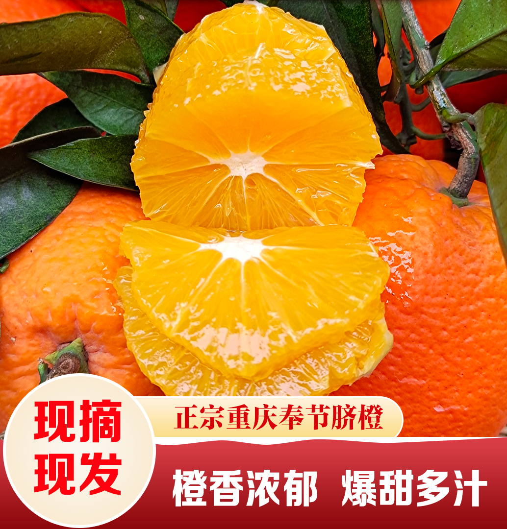 【果农直发】正宗奉节脐橙非赣南果冻橙季节水果新鲜水果现摘现发