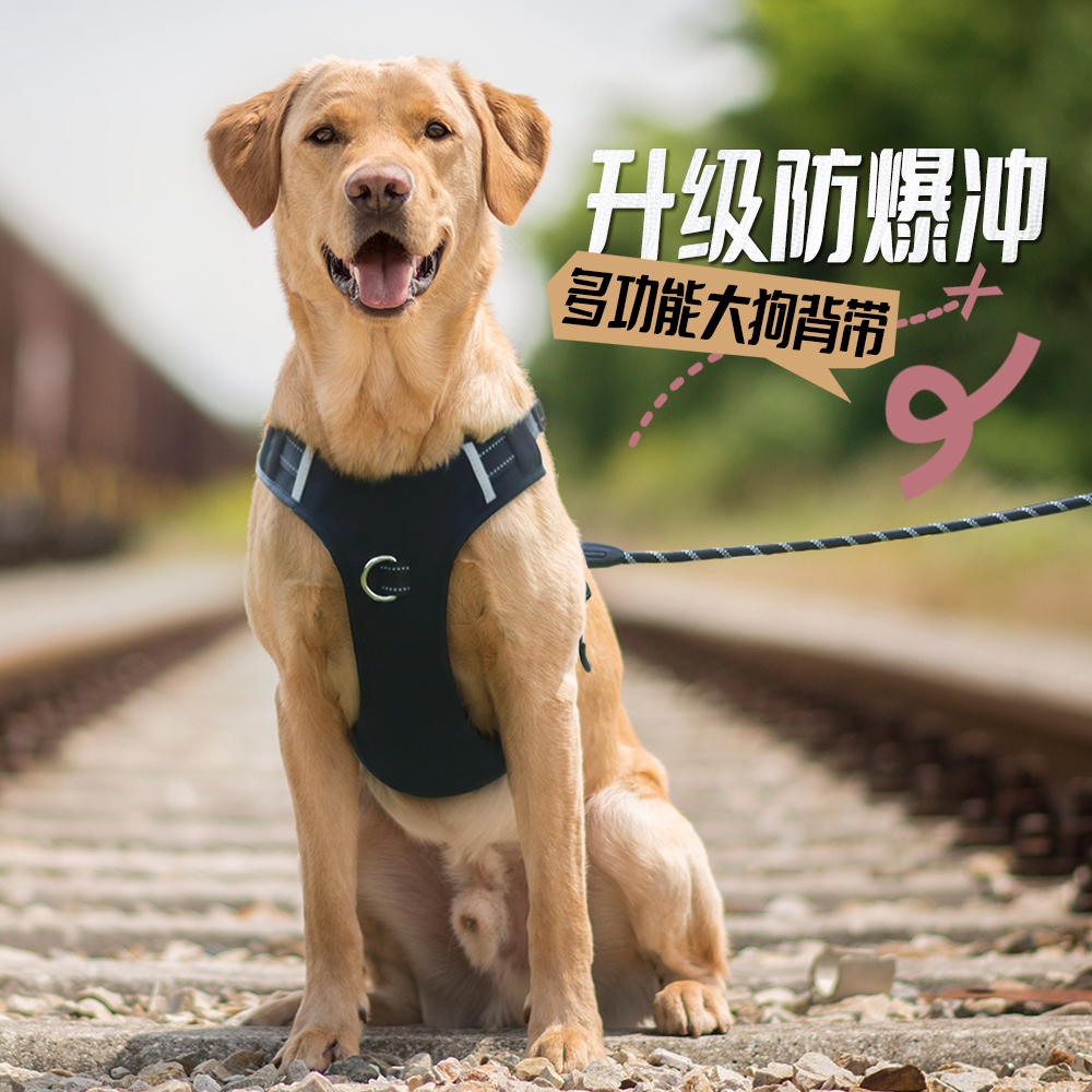 狗狗牵引绳可调节胸背带背心式防爆冲牵引绳拉布拉多外出遛狗绳子
