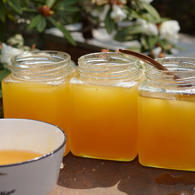 小酿蜜【1斤】高原土蜂蜜自然成熟天然官方旗舰正品纯正蜂蜜