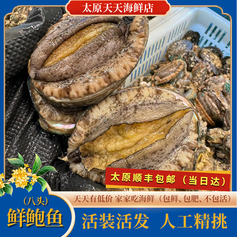 『必囤福利』鲜活8头鲍【10个】包鲜包肥不包活