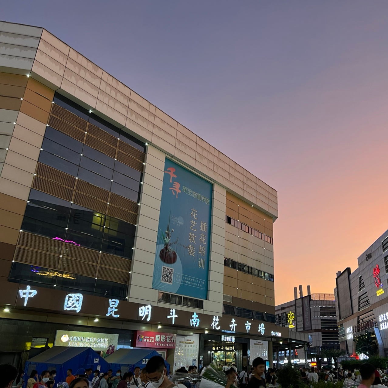 鲜花批发斗南鲜花直发