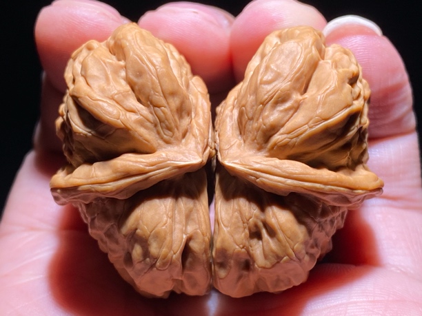 文玩核桃：蛤蟆头半壁江山