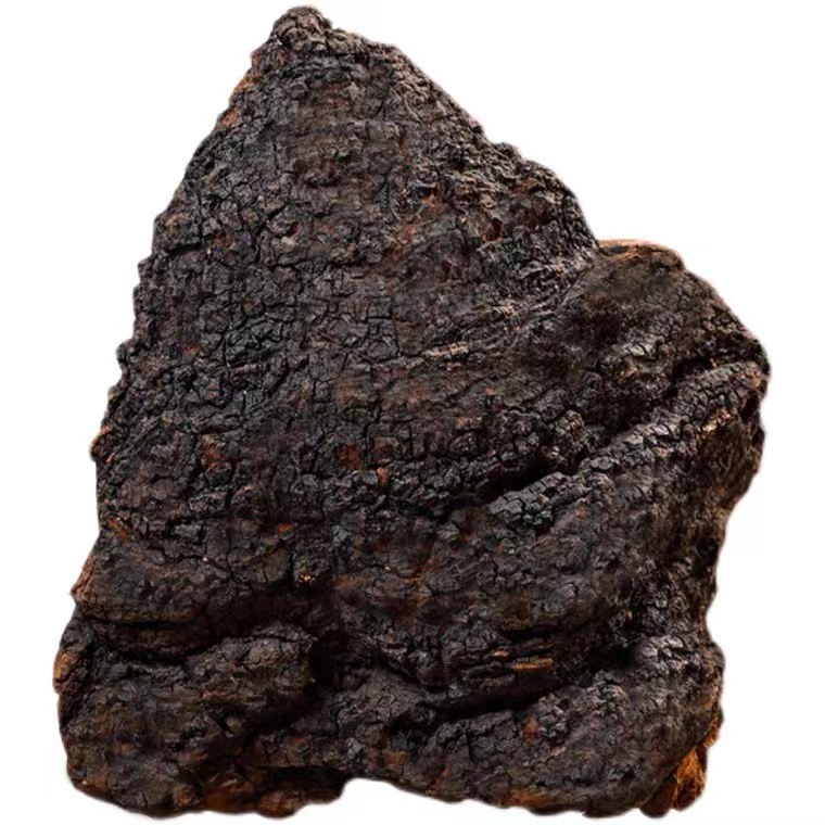 【10斤整块】桦树茸野生白桦茸正品原块大块5000g（整块不切）