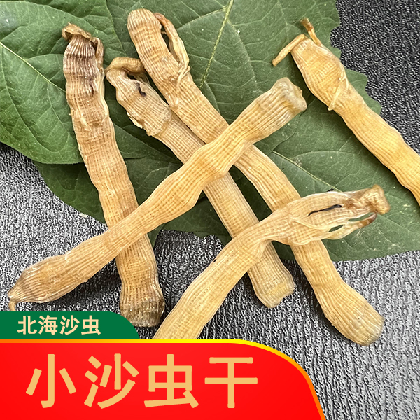 鲜美北海小沙虫干煲汤煮粥新鲜晒干野生无沙干沙虫海肠子滋补美味