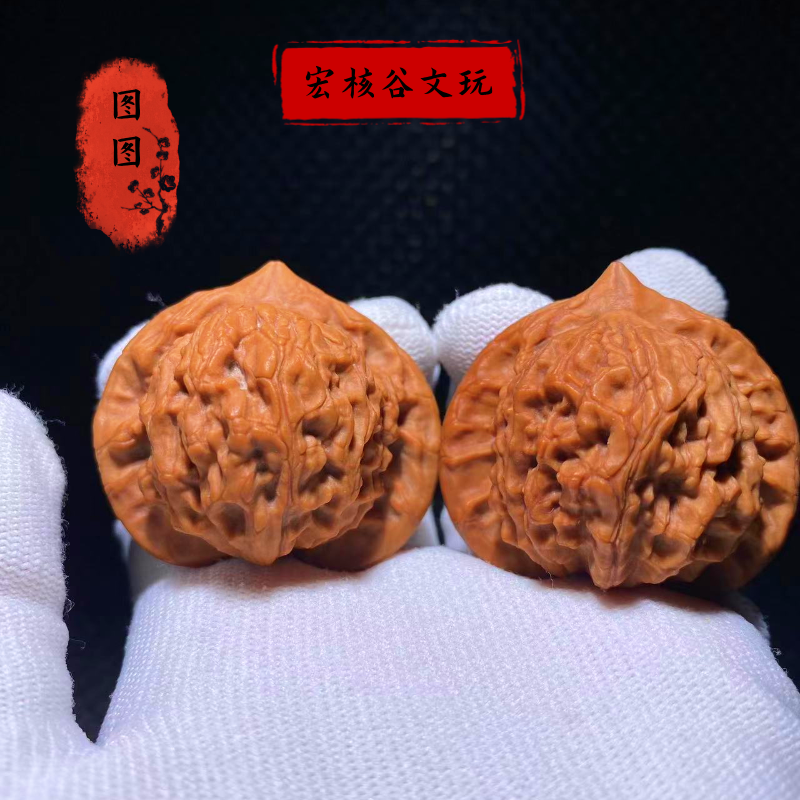 文玩核桃【大耳朵图图】涞水麻核桃收藏级野生包浆玉化TT-9-8
