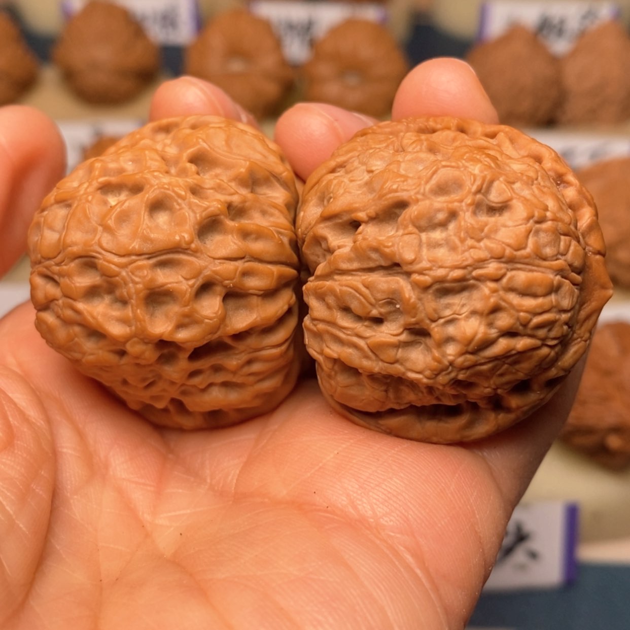 【闪购商品】文玩核桃把件大团圆