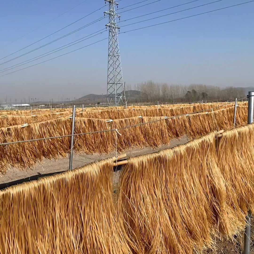 东泇河红薯粉条五斤装 劲道耐煮 自然晾晒