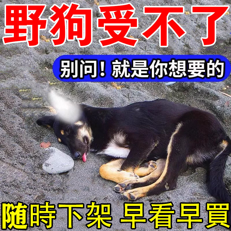 驱狗神器强力驱野狗室外长效专用葯防除止宠物狗狗乱拉乱尿乱咬人
