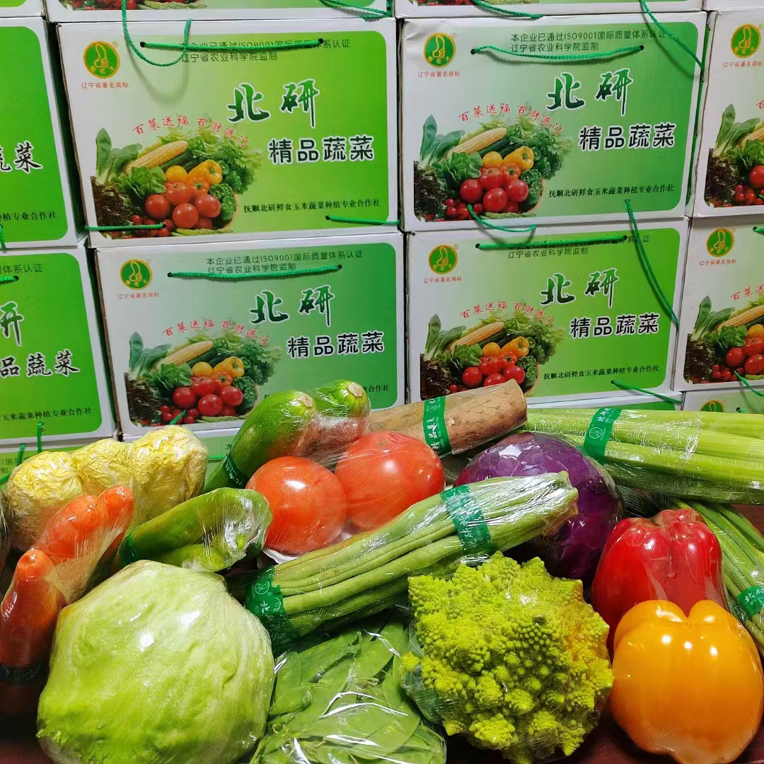蔬菜组合，特产农业蔬菜大礼包，新鲜蔬菜，春节礼盒