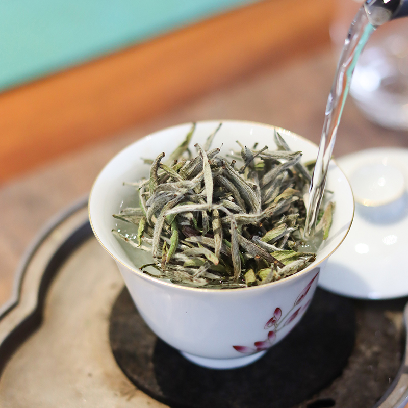 【五月福利】2024年头采白毫银针 10克/盒 福鼎管阳高山白茶