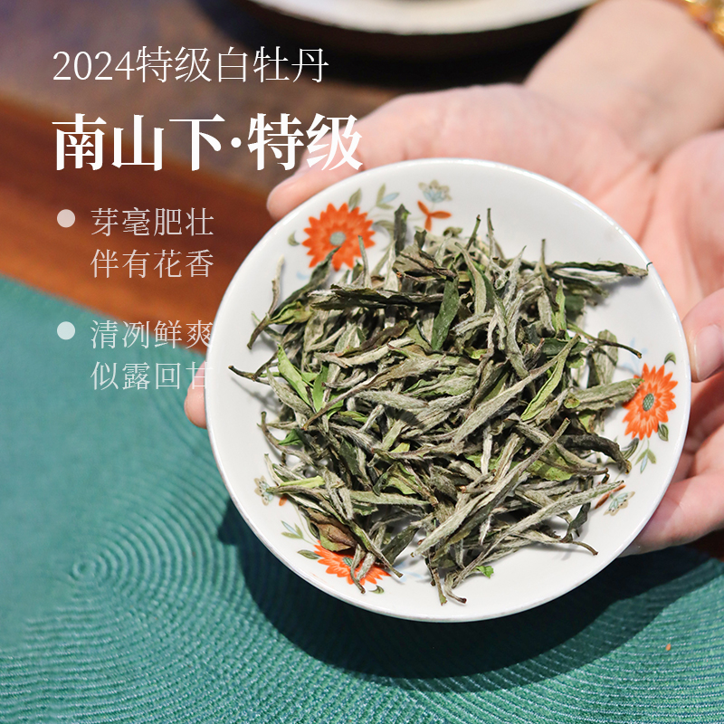 深山行南山下·2024年特级白牡丹  福鼎管阳高山白茶