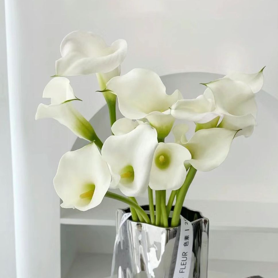 国产马蹄莲  白色    云南基地鲜花   家养    水养