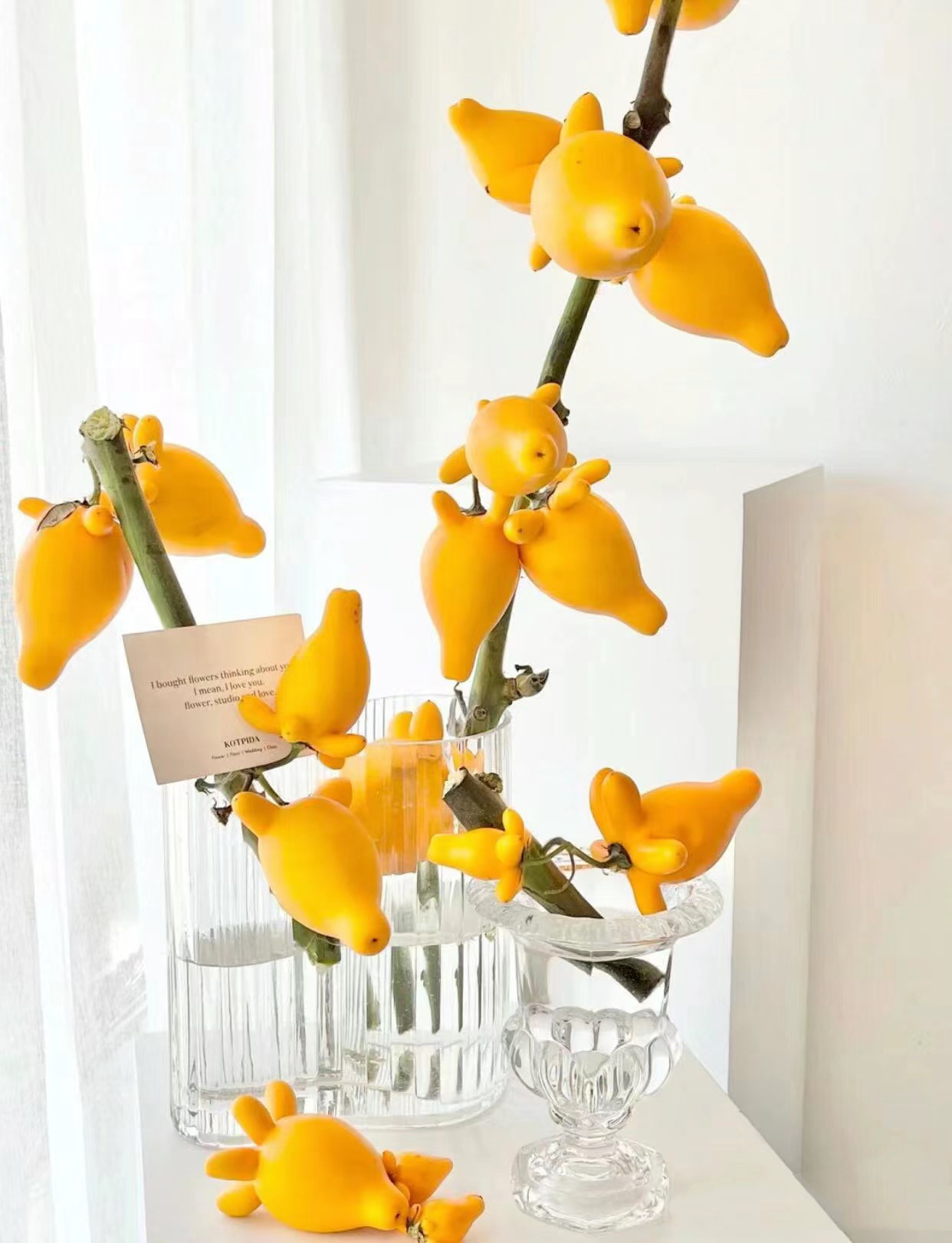 【买一送一】五代同堂黄金果小猪佩奇摆件 云南鲜花直发 家养水养