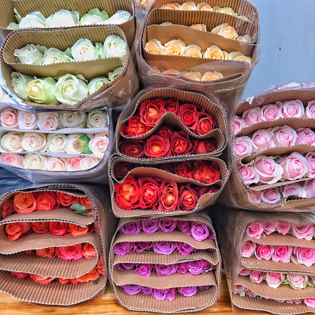 【买一送一】随机混色玫瑰10支  云南基地鲜花直发   家养水养