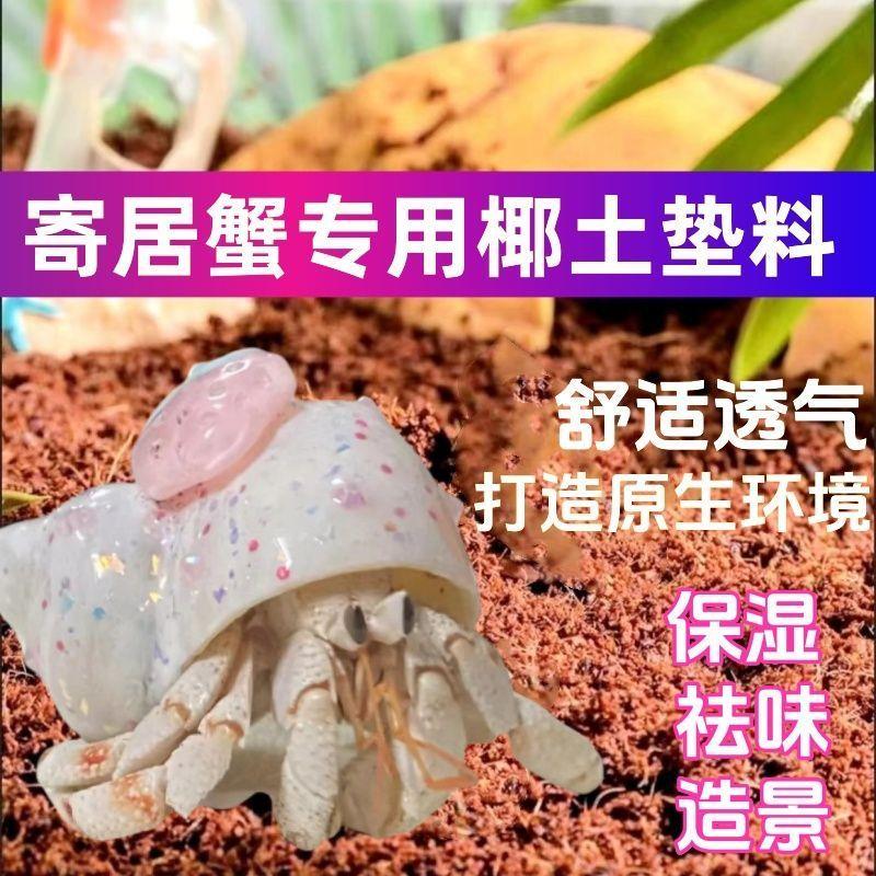 寄居蟹椰土垫料饲养专用沙爬宠生态造景用垫材免泡椰土寄居蟹用品