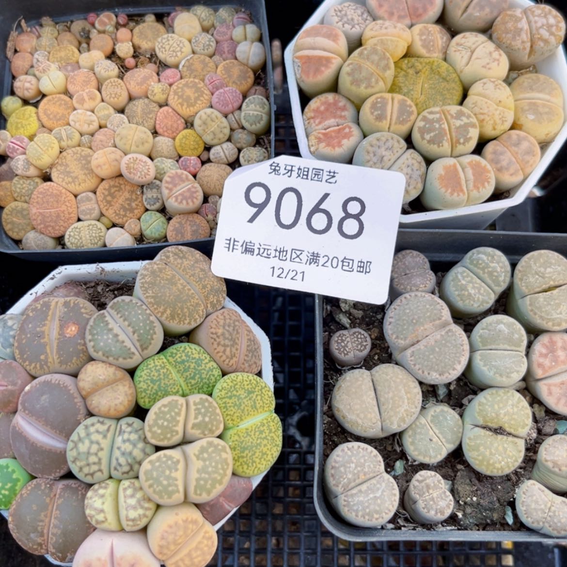 【闪购商品】9068盆土