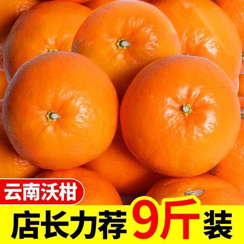 【四川果农甄选】正宗春见耙耙柑新鲜果香橘子爆浆应季水果爆汁细嫩