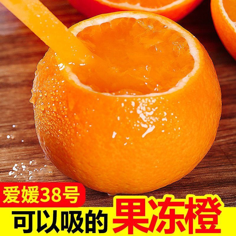 爱媛38号果冻橙四川正宗新鲜当季水果手剥橙子整箱包邮5斤/8斤直.