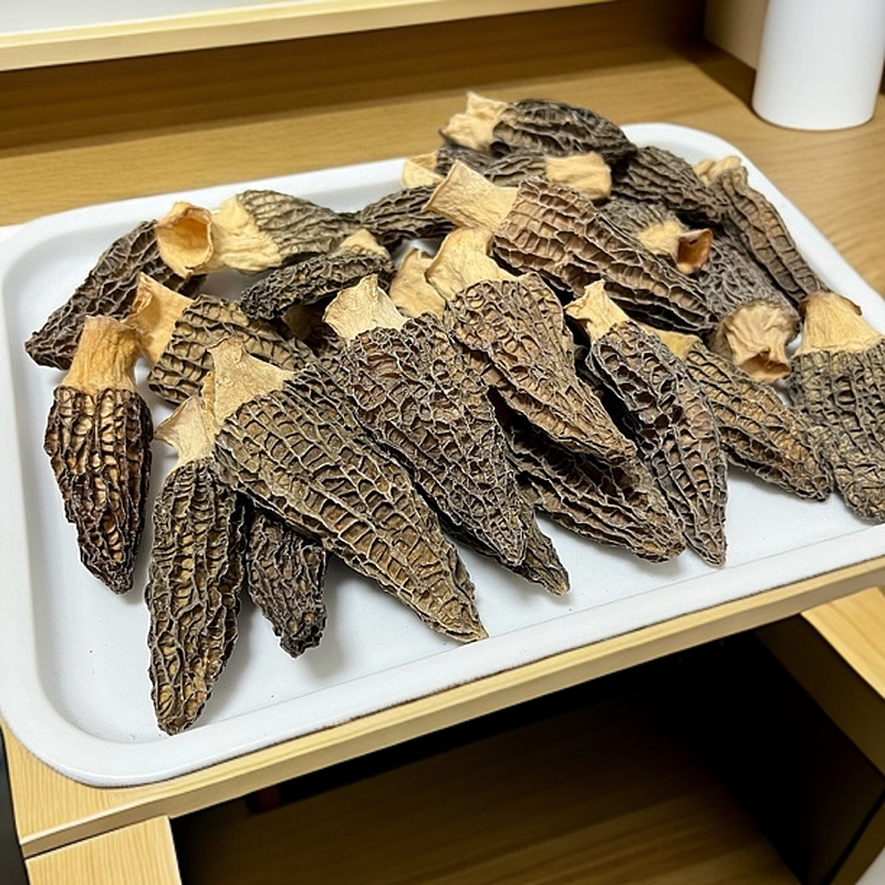 羊肚菌干货 中等个头6-8公分新鲜菌菇肉质肥厚煲汤营养精选优质