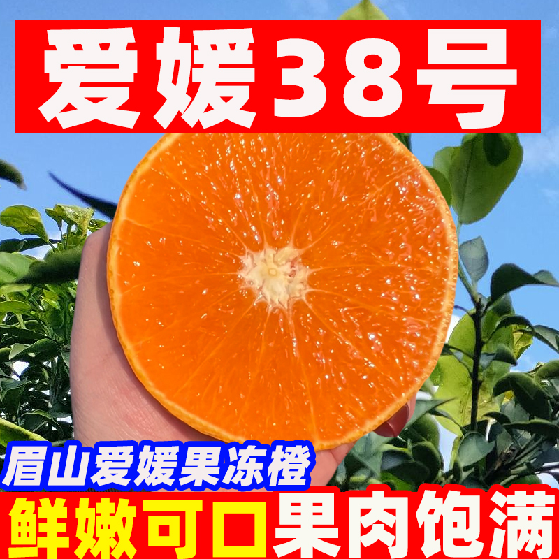 【东方甄选】正宗四川爱媛38号果冻橙超甜新鲜水果现摘现发8斤/5斤.