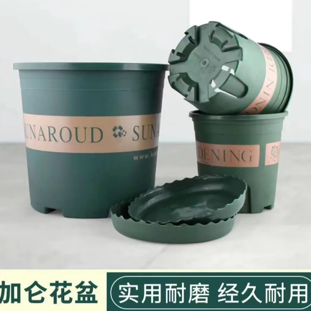 月季专用加仑盆  第3代欧美风控根控水加仑盆耐磨透气耐用