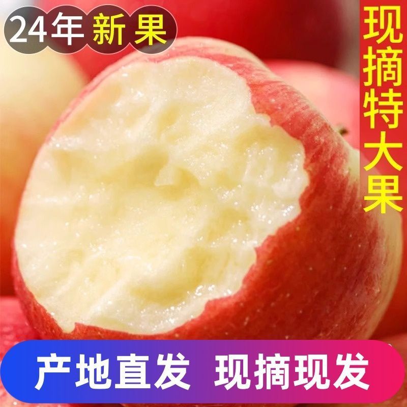 新鲜当季时令水果