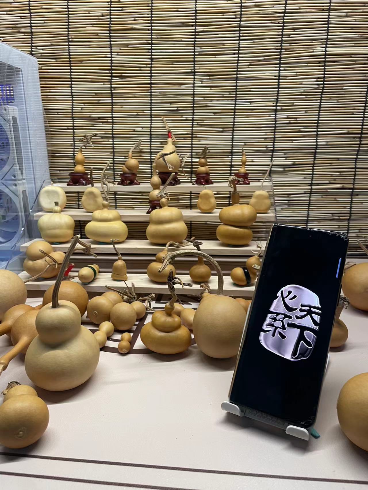 葫芦一物一拍【仅直播】