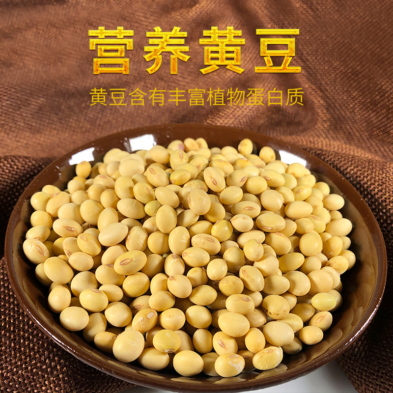 忠粮荟【一哥（船长）甄选】重庆春豆自留种肾型小黄豆豆浆专用5斤