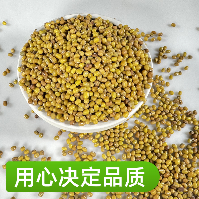 忠粮荟黄皮绿豆2025年新鲜老品种绿豆皮薄出沙多