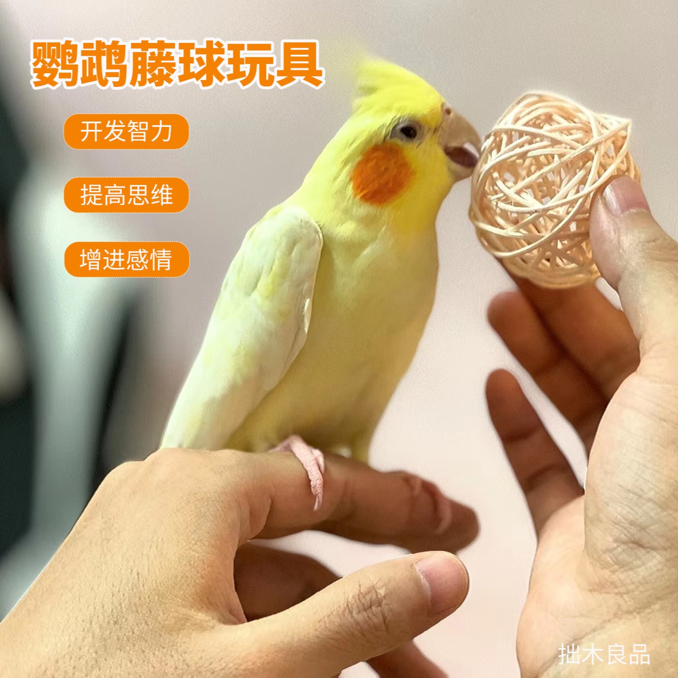 鹦鹉藤球玩具仓鼠啃咬磨牙用品虎皮牡丹玄凤开发智力训练球鸟道具