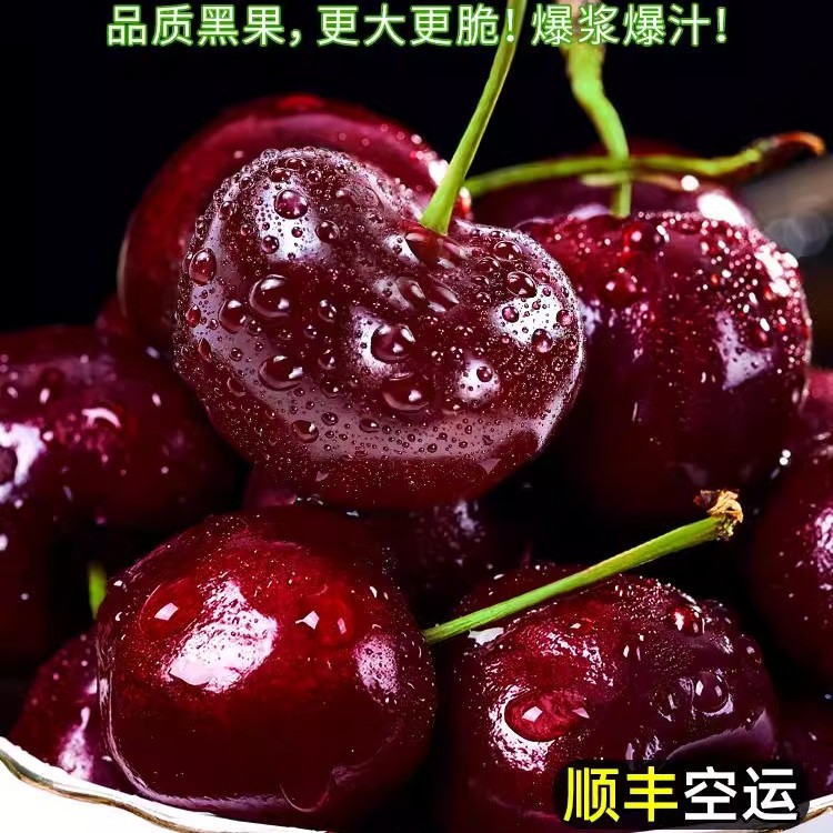 智利进口车厘子1-5斤新鲜水果甜美应季水果爆汁种植售后签收产地