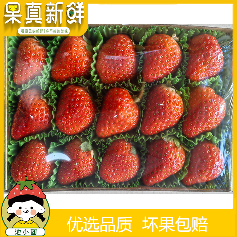 丹东草莓15粒/盒约350g