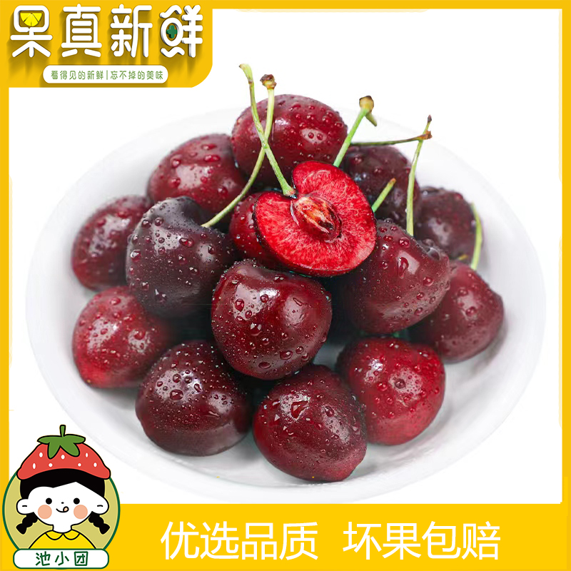 【高端进口】JJJ智力车厘子5斤装