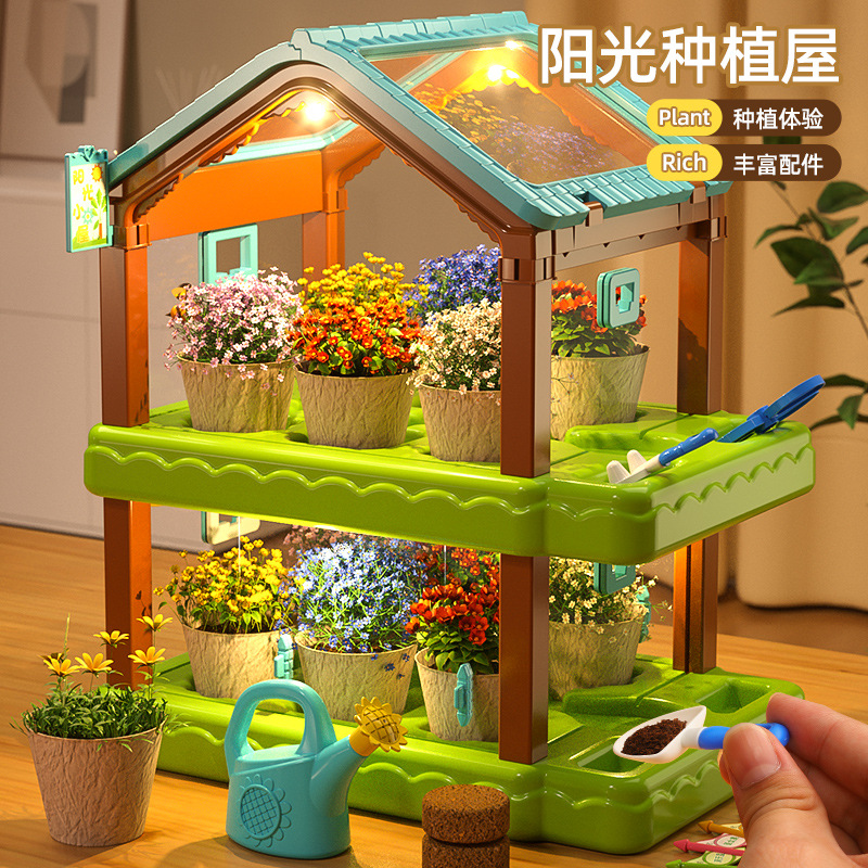 儿童种植阳光房植物生长观察种子材料包科学实验套装玩具圣诞礼物