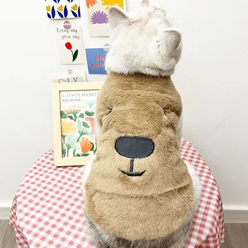 秋冬新款猫咪衣服保暖加厚马甲背心布偶英短矮脚蓝猫幼猫开衫棉衣
