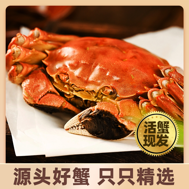 【活蟹】苏州精品全母大闸蟹全母蟹4两8只装大闸蟹礼盒装