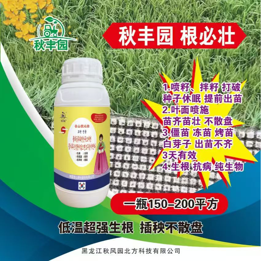 秋丰园：（釜山根必壮）苗床专用，苗齐苗壮，芽齐芽壮。