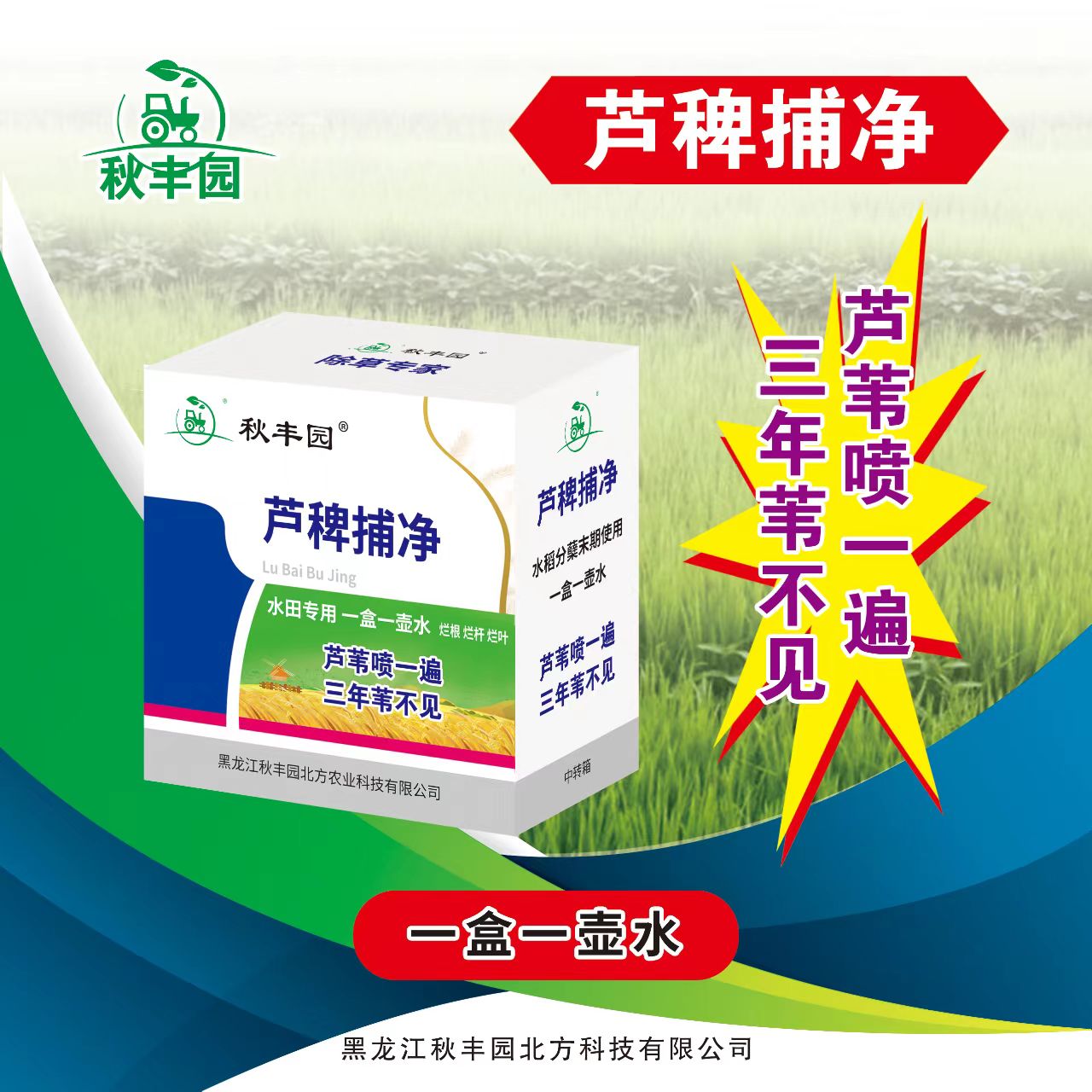 秋丰园（水稻田）芦稗捕净