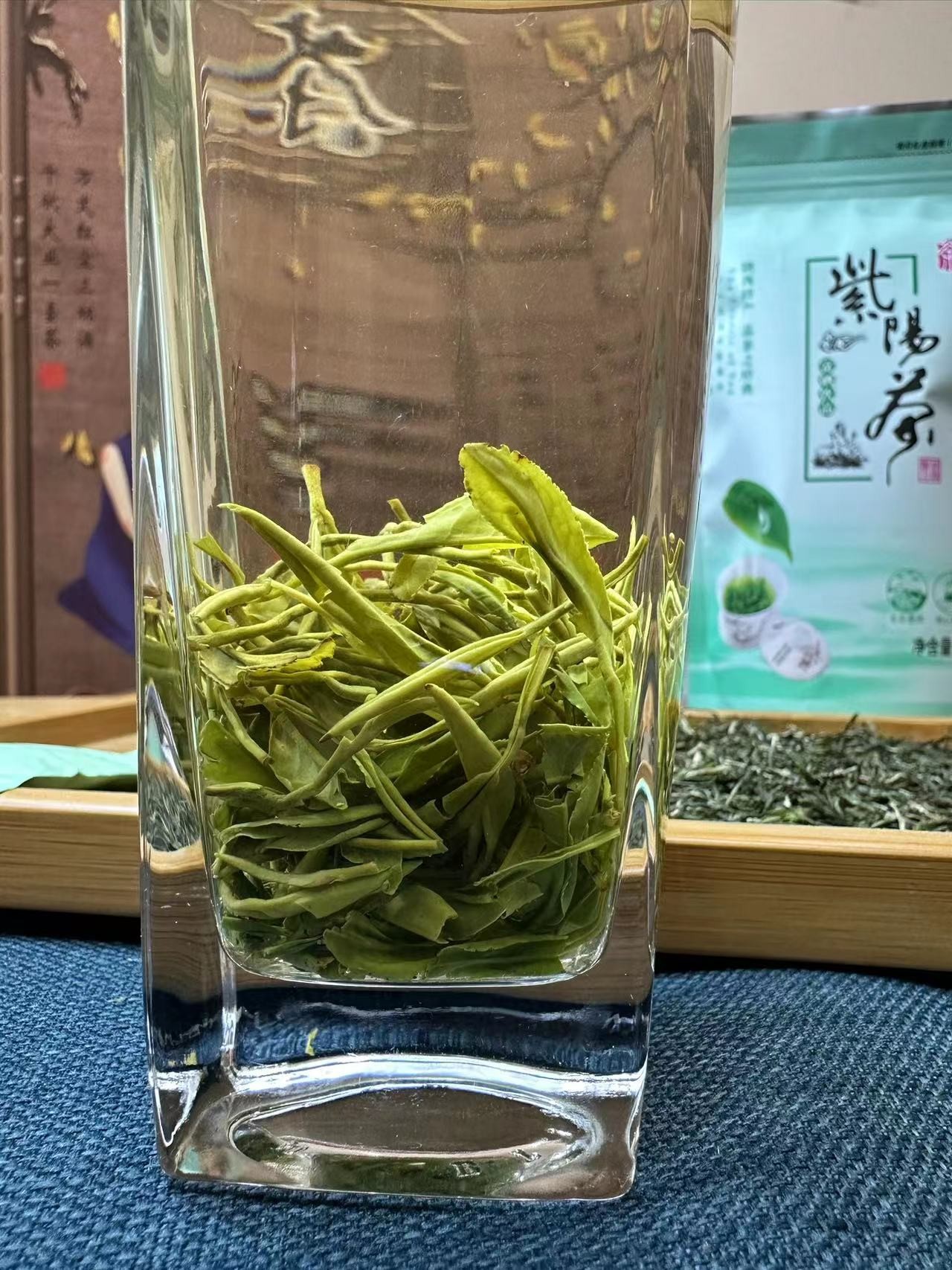 5号 2025年清明当天紫阳毛尖,板栗香带花香经典品茗