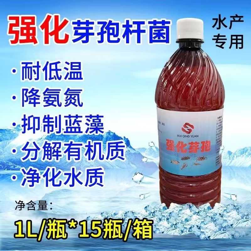 强化枯草芽孢杆菌水产降解氨氮净水虾蟹海参枯草芽孢杆菌厂家直销