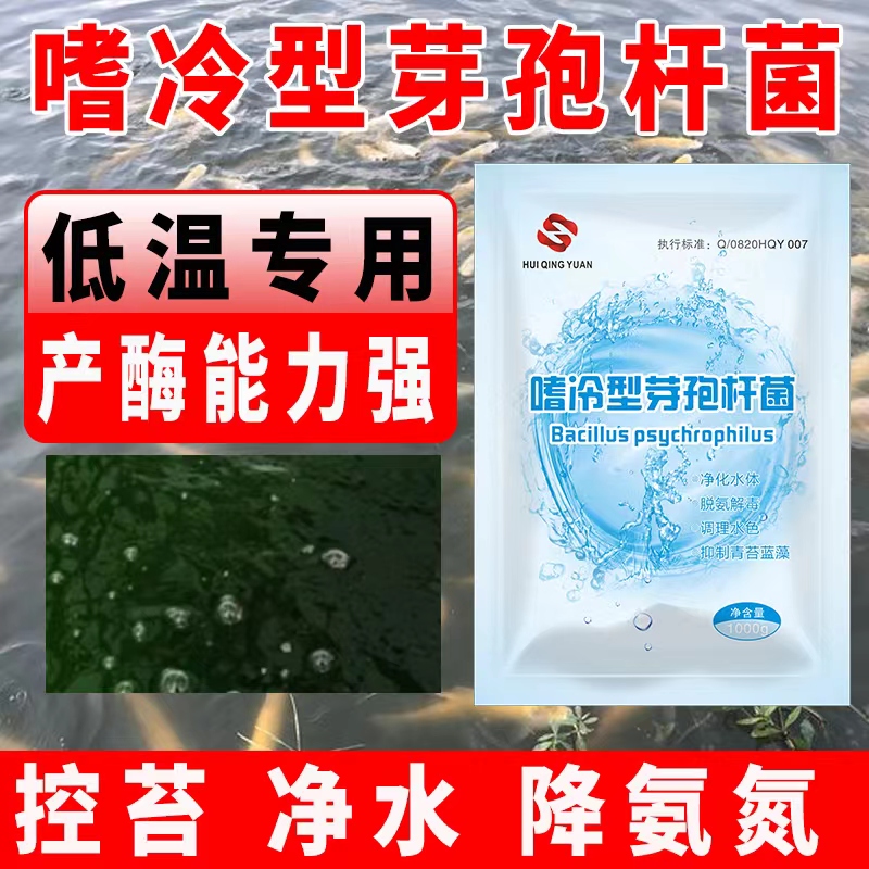 嗜冷型芽孢杆菌4-40℃水产养殖增强有效产品调水适用高效添加增加