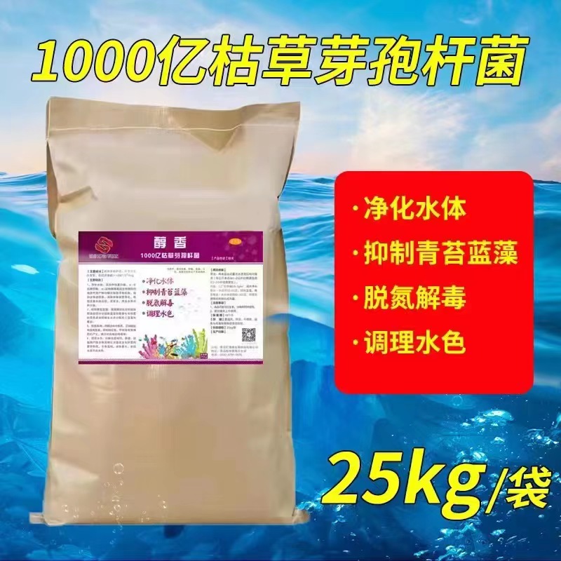 1000亿枯草芽孢杆菌25kg大包装水产养殖专用枯草芽孢杆菌净水调水