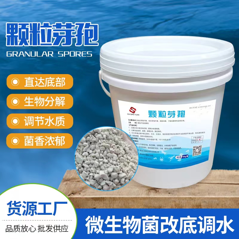 颗粒芽孢水产养殖专用生物改底芽孢菌团鱼虾蟹海参调节水质调水