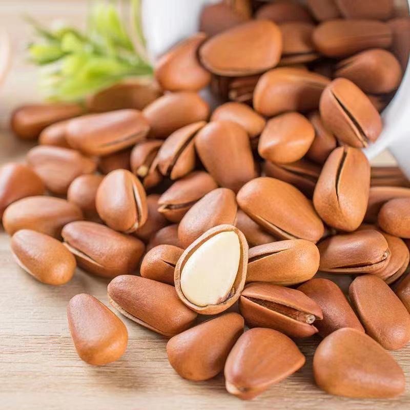 东北开口松子大颗粒干果零食批发坚果松子产炒货追剧干货新鲜饱满